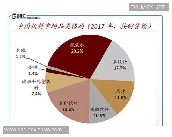 深圳篮球队转型之路的真实记录与发展历程探秘